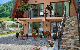 Casa de vacanta Estera Rucar